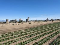 California Plains: Clear Sky and a Field