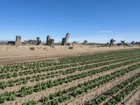 California Plains: Clear Sky and a Field