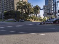 the intersection on the corner is surrounded by palm trees and a few buildings along it