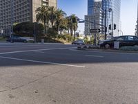 the intersection on the corner is surrounded by palm trees and a few buildings along it