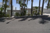 an empty road with palm trees and other plants around it in front of a building