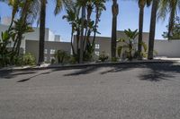 an empty road with palm trees and other plants around it in front of a building