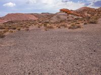 a couple of red rocks in the desert and some bushes and dirt and a cloudy sky