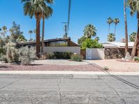 California Residential Architecture with Palm Trees 001