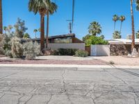 California Residential Architecture with Palm Trees 002