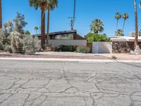 California Residential Architecture with Palm Trees 003