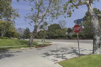 an intersection with a stop sign near the tree, and grassy lawn area at corner