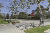 an intersection with a stop sign near the tree, and grassy lawn area at corner