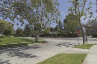 an intersection with a stop sign near the tree, and grassy lawn area at corner