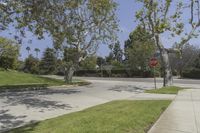 an intersection with a stop sign near the tree, and grassy lawn area at corner