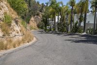 California Residential Area: Green Grass and Tall Trees