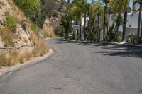 California Residential Area: Green Grass and Tall Trees