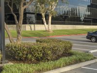 a black car is traveling down the street near tall buildings, a parking area with plants and bushes