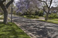 there is a purple flowering tree and street in the city park neighborhood of long beach, california