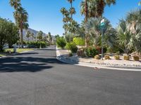 California Residential Area with Palm Trees 001