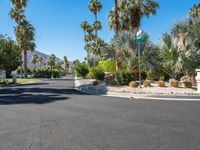 California Residential Area with Palm Trees 002