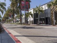 the sidewalk outside of this building has palm trees on both sides of it and red curbes, along with a row of palm trees along the sidewalk