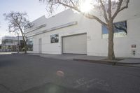 a paved street in front of a large building with a tree in the middle of the road