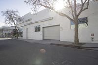 a paved street in front of a large building with a tree in the middle of the road