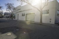 a paved street in front of a large building with a tree in the middle of the road