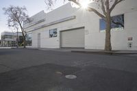 a paved street in front of a large building with a tree in the middle of the road