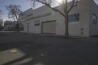 a paved street in front of a large building with a tree in the middle of the road