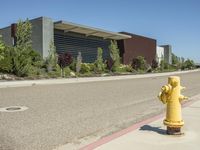 a yellow fire hydrant sits on the sidewalk near some bushes and trees are in front of the building