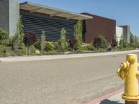 a yellow fire hydrant sits on the sidewalk near some bushes and trees are in front of the building