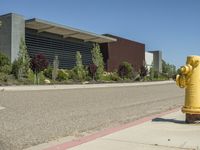 a yellow fire hydrant sits on the sidewalk near some bushes and trees are in front of the building