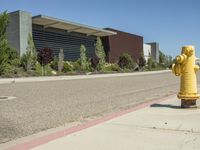 a yellow fire hydrant sits on the sidewalk near some bushes and trees are in front of the building