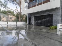 Residential Area in California: A Tree Park