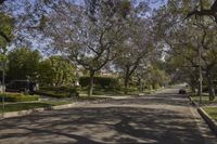 a street in a neighborhood with a car on it and trees in the foreground