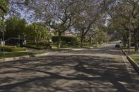 a street in a neighborhood with a car on it and trees in the foreground