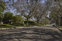 a street in a neighborhood with a car on it and trees in the foreground