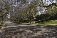 a street in a neighborhood with a car on it and trees in the foreground