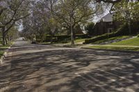 a street in a neighborhood with a car on it and trees in the foreground