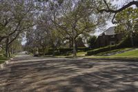 a street in a neighborhood with a car on it and trees in the foreground