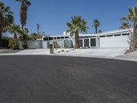 California Residential Building with Palm Trees 001