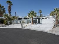 California Residential Building with Palm Trees