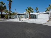 California Residential Building with Palm Trees