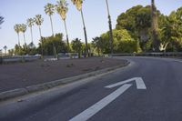 California Residential Clear Sky Road Trees 001