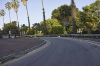 California Residential Clear Sky Road Trees 002