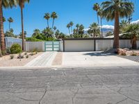 California Residential Home: A Profile of Palm Trees and Modern Architecture