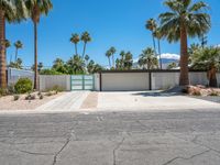 California Residential Home: A Profile of Palm Trees and Modern Architecture