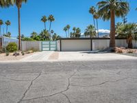 California Residential Home: A Profile of Palm Trees and Modern Architecture