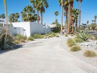 California Residential Home with Palm Trees and Clear Skies