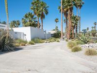 California Residential Home with Palm Trees and Clear Skies