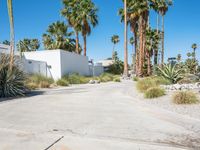 California Residential Home with Palm Trees and Clear Skies 003