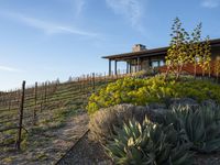 California Residential House Nature Landscape 001