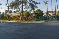 a traffic signal next to trees in the road of the city with houses and palm trees on each side